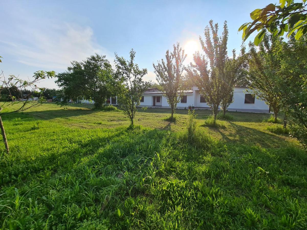 Agriturismo Ca Novak Venezia 스피니아 외부 사진